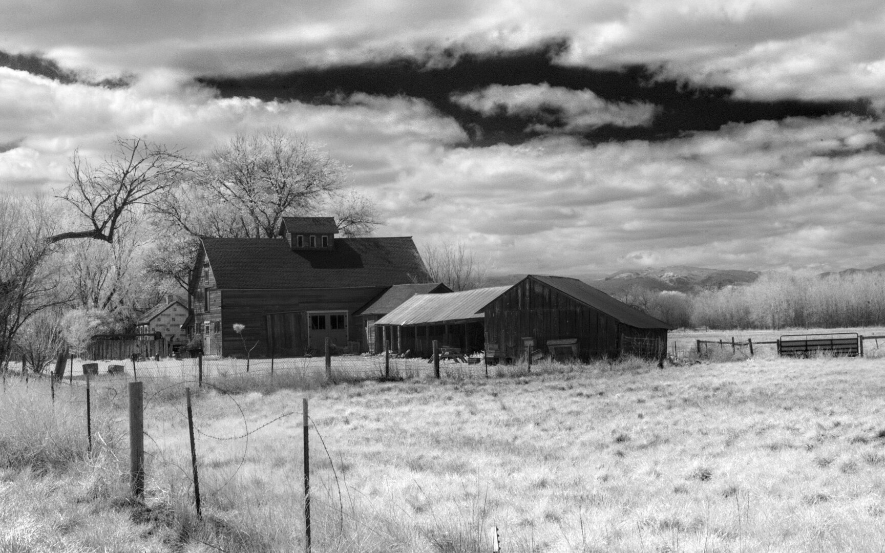 Infrared