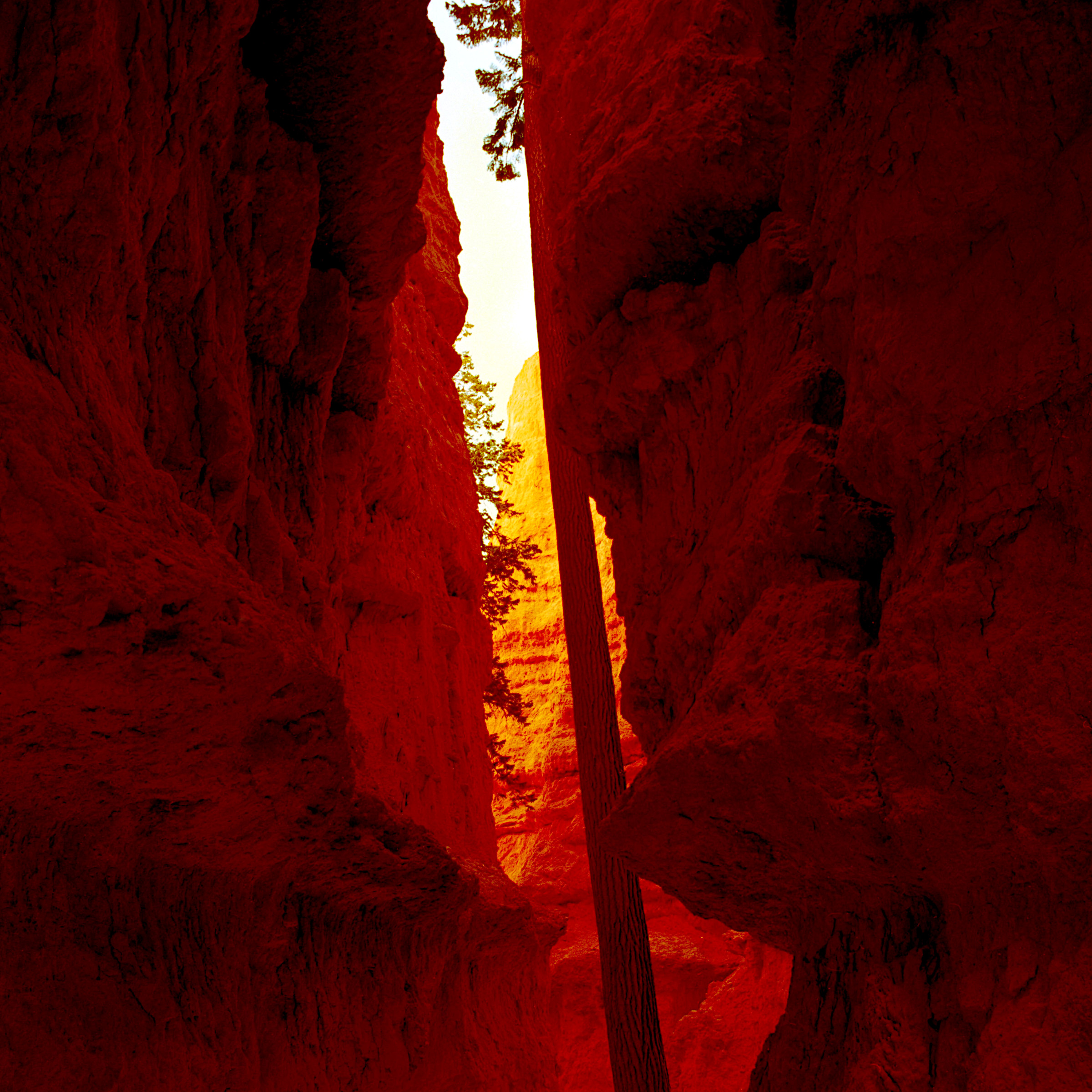 Canyon