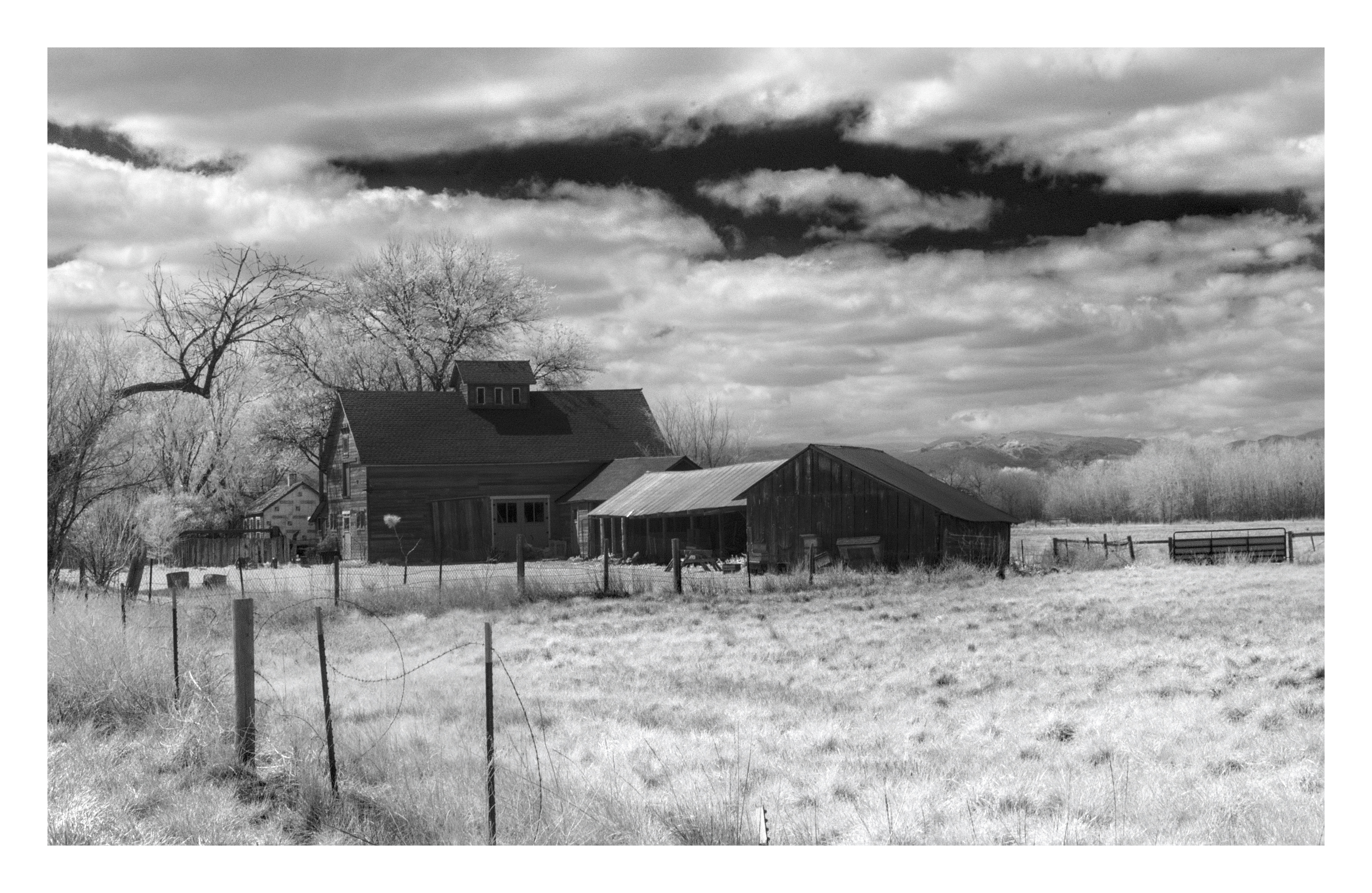 IR Barn