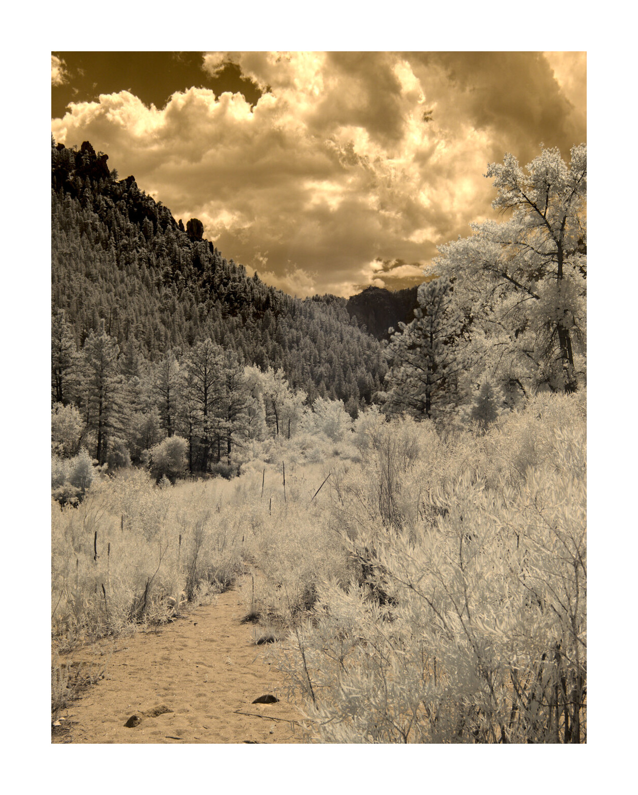 IR